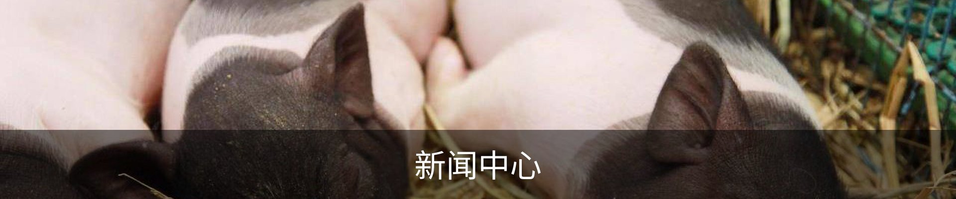 新闻中心
